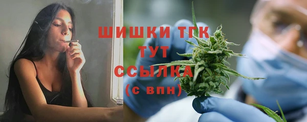 молекула духа Верхний Тагил