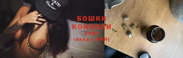 молекула духа Верхний Тагил