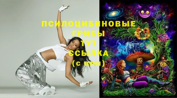 спайс Верея