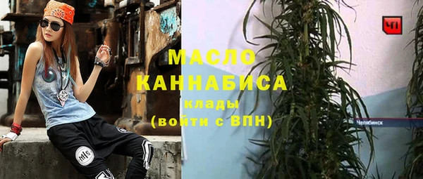молекула духа Верхний Тагил