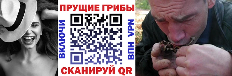 Псилоцибиновые грибы ЛСД KRAKEN зеркало Завитинск